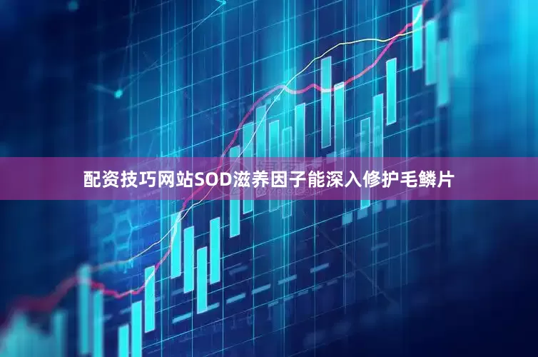 配资技巧网站SOD滋养因子能深入修护毛鳞片
