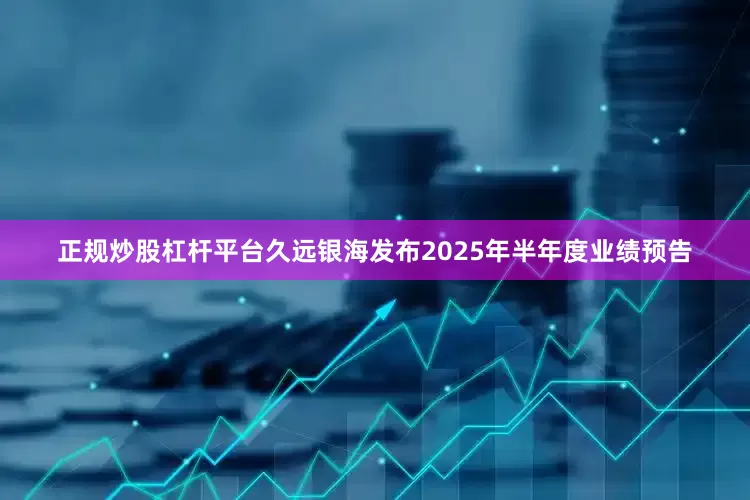 正规炒股杠杆平台久远银海发布2025年半年度业绩预告