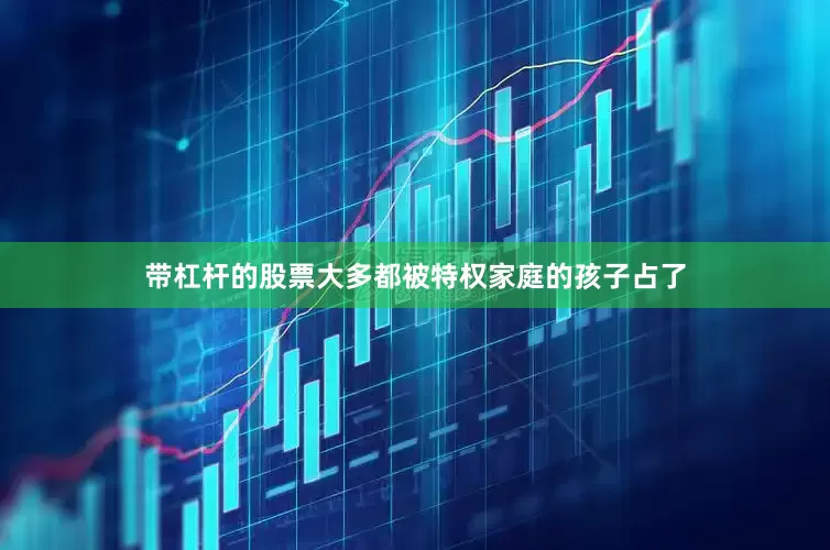 带杠杆的股票大多都被特权家庭的孩子占了
